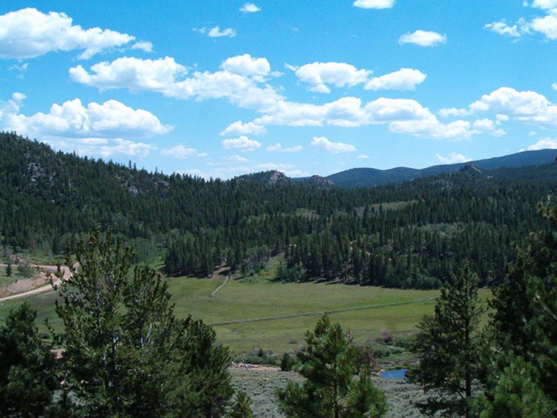 Property photo 2 - Get Lost in the Pristine Northern Colorado Rockies - Prime Building Sites